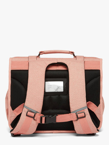 Satchel 2 Compartments Cameleon Pink vintage color CA38 other view 3