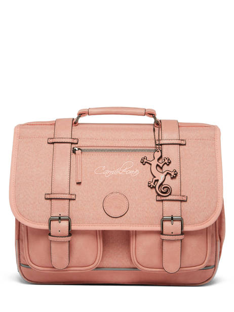 Satchel 2 Compartments Cameleon Pink vintage color CA38 other view 5