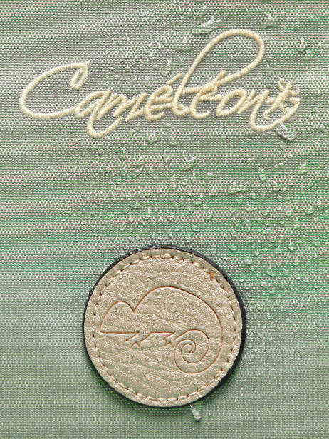 Cartable Enfant 2 Compartiments Vintage Fantasy Cameleon Vert vintage fantasy CA38 vue secondaire 7