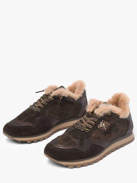 Sneakers Cetti Marron women SRA vue secondaire 1