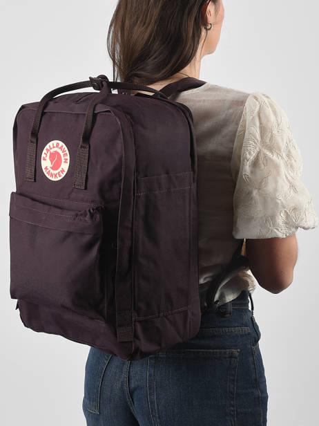 1 Compartment Backpack With 17