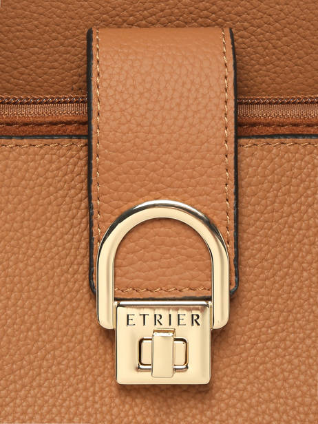 2-compartment Messenger Bag With 15