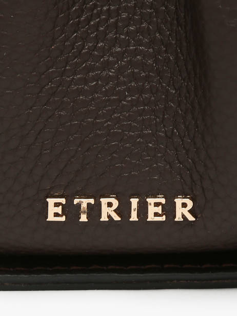 Crossbody Bag Foudre Etrier Brown foudre EFOD238S other view 2