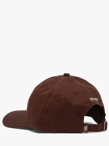 Cap Dickies Brown accessoires DK0A4Z6N other view 2