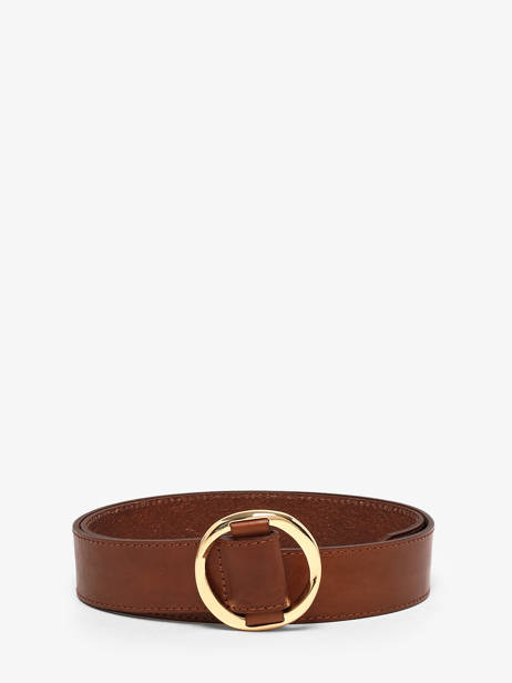 Belt Pieces Brown amiva 17166641