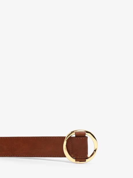 Belt Pieces Brown amiva 17166641 other view 1