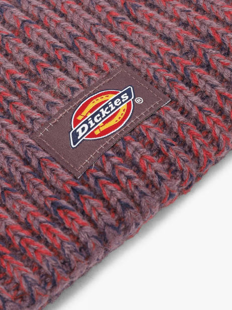 Bonnet Dickies Violet accessoires DK0A4Z3J vue secondaire 1