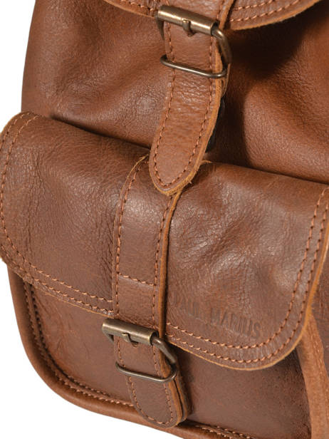 Sac à Dos Lebaroudeur Paul marius Marron vintage BAROUDEU vue secondaire 2